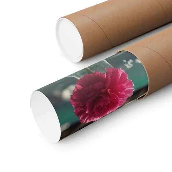 Papel Felix Schoeller J93270 SCM pro Matt 230 - 24" - 0.61 x 30m