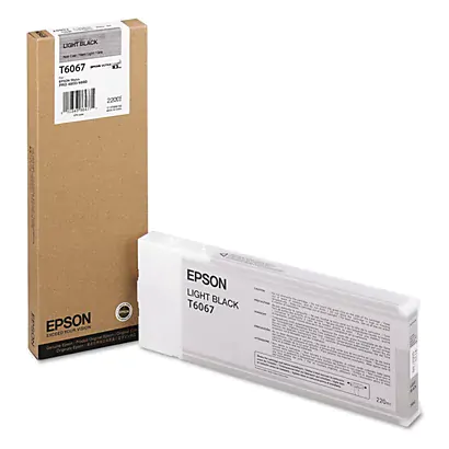 Cartucho Epson T606700 gris