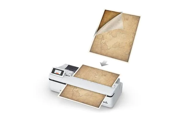 Epson C12C936101 accesorio para escáner Hoja portadora