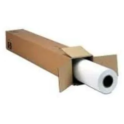 Película Epson MetallicProof® de 24" x 30,5 m (para SP WT7900)